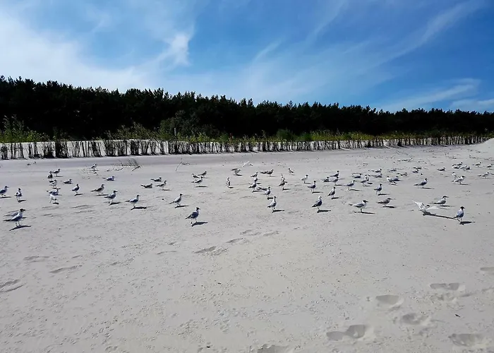 Pansiyon Marand Jastarnia